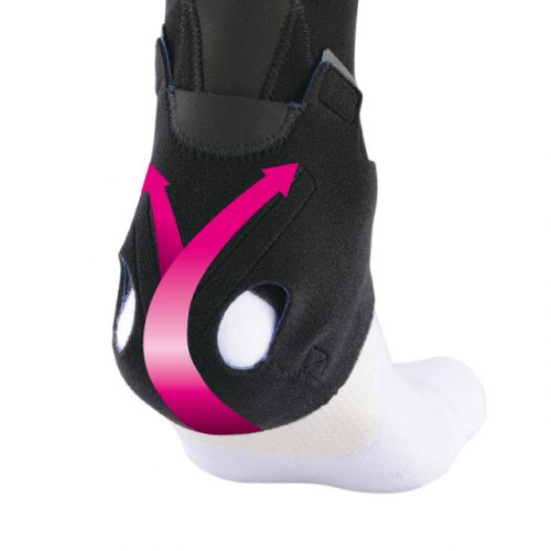 Suppress ankle dorsiflexion