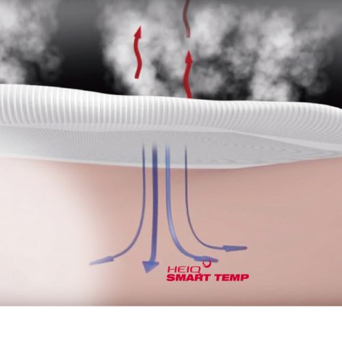 Temperature control function by