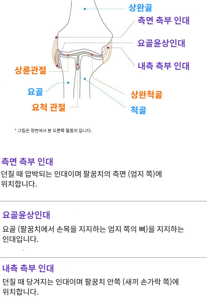 Elbow function and anatomy